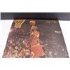Image 2 : Michael Jordan Wall Poster 13.5" x 20"