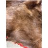 Image 6 : Horse Hide. (Weight 5.30Kg)