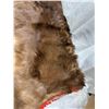 Image 8 : Horse Hide. (Weight 5.30Kg)