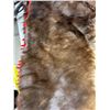 Image 9 : Horse Hide. (Weight 5.30Kg)
