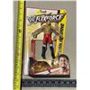 Image 1 : Figure of Wrestler Evan Bourne.