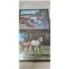 Image 2 : 3 horse pictures w/ metal frame 12"x9.5"