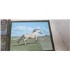 Image 3 : 3 horse pictures w/ metal frame 12"x9.5"