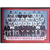 Image 1 : 1973-74 TOPPS TORONTO MAPLE LEAFS