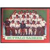Image 1 : 1973-74 TOPPS BUFFALO SABRES