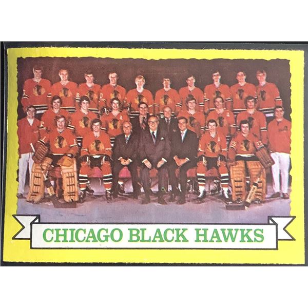 1973-74 TOPPS CHICAGO BLACK HAWKS