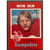 Image 1 : 1971 O-PEE-CHEE WAYNE HOLM ROOKIE CARD