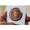 Image 3 : moose jaw copper coin