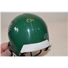 Image 2 : sask roughriders collectors helmet