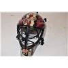 Image 2 : NHL phoenix coyotes goalie mask