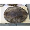 Image 2 : beaver hide
