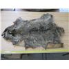 Image 1 : raccon hide