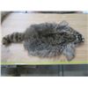 Image 2 : raccon hide