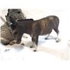 Image 2 : two donkey figurines, Breyer USA