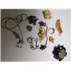 Image 1 : COSTUME JEWELLRY LOT