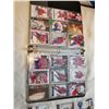 Image 9 : 11 winter classic cards and binder of Canadian hockey cards