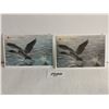Image 1 : 1994 and 1995 proof sets