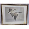 Image 1 : CANADA GEESE 25X20. 1966 - BY OATES