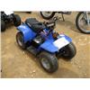 Image 1 : QUAD JR. 50CC ATV, s/n LWGZCBL1050000621: