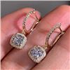 Image 1 : NEW EXQUISITE LADIES MICRO-INLAID EARRINGS