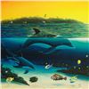Image 2 : Warm Tropical Waters by Wyland,