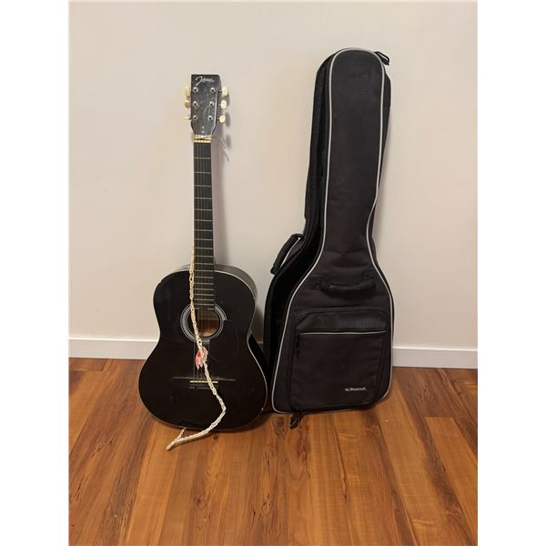Johnson  guitar and case