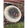 Image 2 : Birdbath