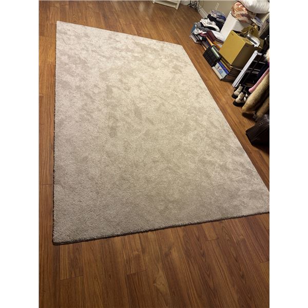 Carpet 9' x 70"