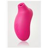 Image 1 : Lelo Sona 2 Cruise Massager