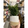 Image 2 : Bouclair Set of 2 Artificial Succulents