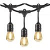 Image 1 : Feit Electric LED String Lights 48ft