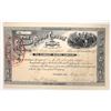 Image 1 : Gunsight Mining Company Stock Certificate [193415]