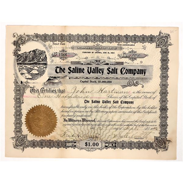 Saline Valley Salt Co. Stock Certificate, 1902 [191864]