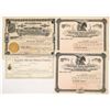 Image 1 : Nevada County Mining Stocks Group [191373]
