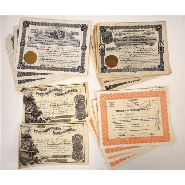 Tuolumne County Mine Stocks (20) [192718]