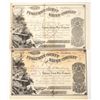 Image 1 : D.O. Mills Signed Tuolumne County Mining Stock Certificates (2) [192692]