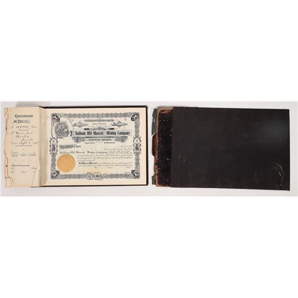 Balloon Hill Mascot Mine Stock Book [192379]