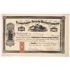 Image 1 : Pennsylvania and Nevada Mining Stock, 1867 [191482]