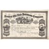 Image 1 : Central Oil Run Petroleum Stock, 1866 [191478]