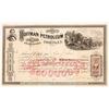 Image 1 : Hoffman Petroleum Stock, 1865 [191474]