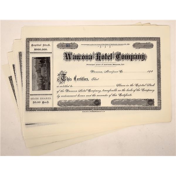 Blank Wawona Hotel Stock Certs (13) [192707]
