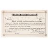 Image 1 : Swede Ditch Stock, 1903, Very Rare [191539]