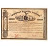 Image 1 : American Express Butterfield, Wells & Fargo Signed Stock Certificate [192960]