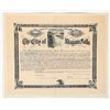 Image 1 : City of Niagara Falls Bond, c1906 [191560]