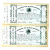 Image 1 : Washington Fire Co. Stock Assoc. Pair, 1867 [191198]