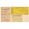 Image 1 : Railroad  Ticket, Postcard and Passes [188981]