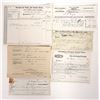 Image 1 : Northern California Tax  Statements, 6, 1868-1911 [190778]