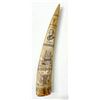 Image 1 : Fakeshaw Walrus Tusk HMS Regulus Scrimshaw Repro. [189879]