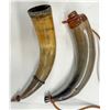Image 2 : Powder Horns (2) [189877]