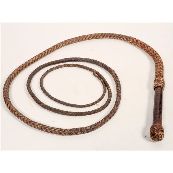Bullwhip [191344]